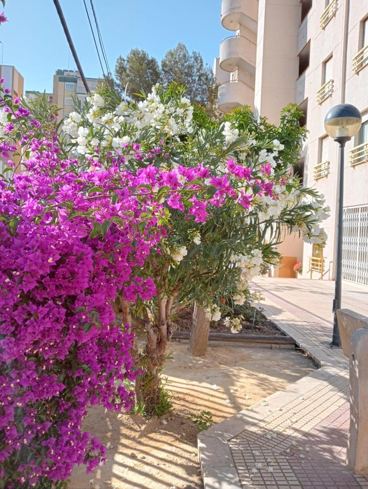 شقة Balcon Del Mar لقنت المظهر الخارجي الصورة